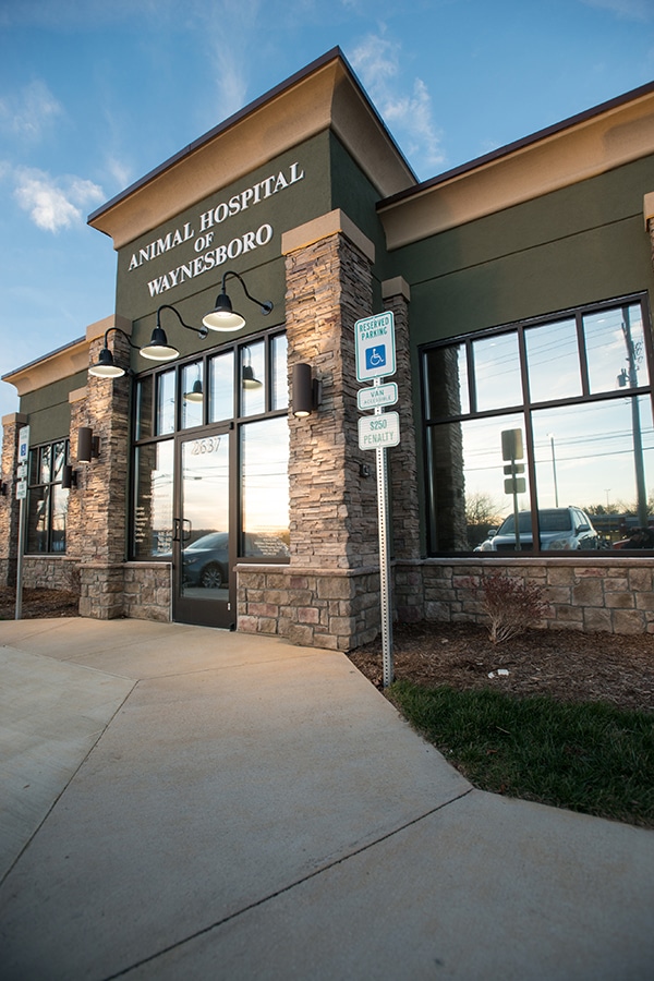 animal-hospital-of-waynesboro-exterior Outside entrance to our animal hospital