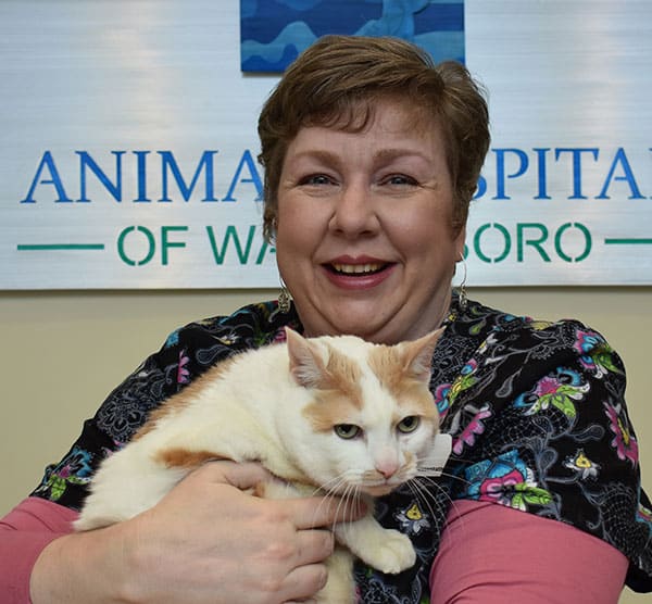 karen Karen: Veterinary Staff in Waynesboro