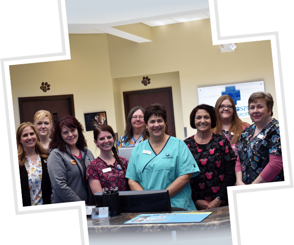 staff-at-animal-hospital-waynesboro Group picture of staff at our animal hospital